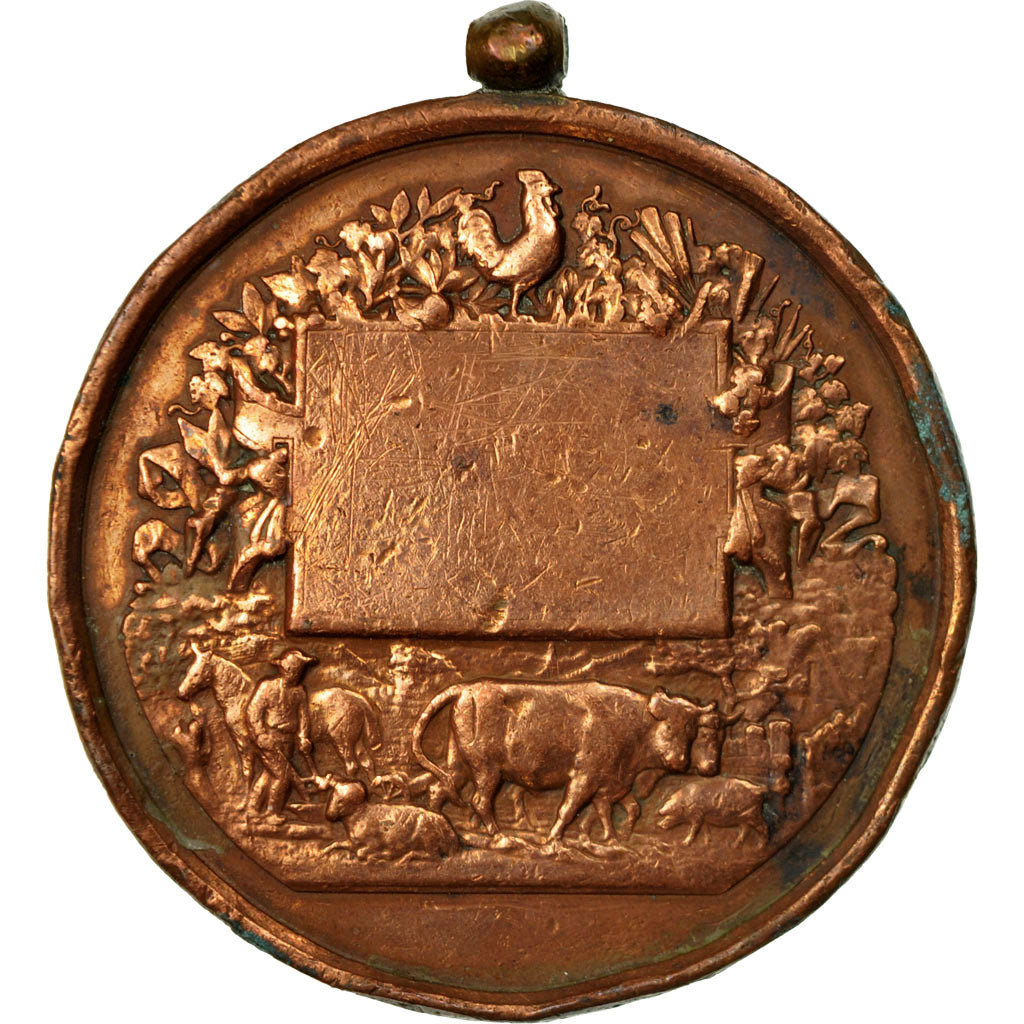 Francja, Medal, Concours Agricole, Espèce Porcine, Vernon, VF(20-25), Miedź