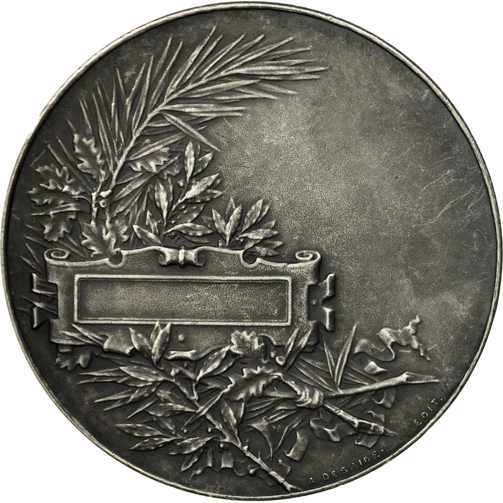 France, Medal, Marianne, République Française, O.Roty, AU(55-58), Silver
