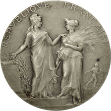 France, Medal, Art Nouveau, Ministère de l'Agriculture, Dubois.A, AU(55-58)