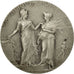 France, Medal, Art Nouveau, Ministère de l'Agriculture, Dubois.A, AU(55-58)