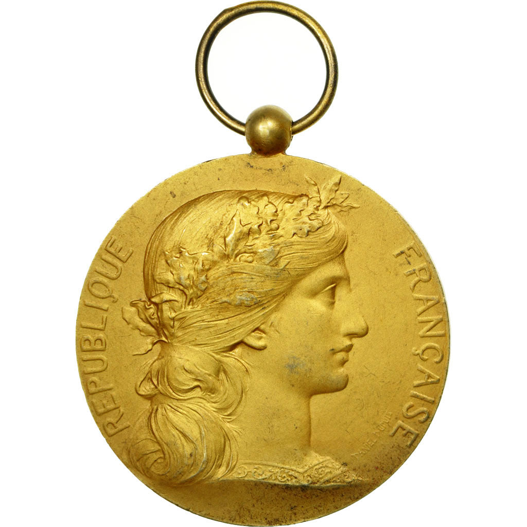 France, Médaille, Société Industrielle de l'Est, Dupuis.D, TTB, Vermeil