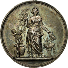 France, Medal, Société d'Horticulture de l'Aube, Pingret, MS(60-62), Silver