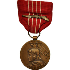 Estados Unidos, Freedom Medal, Palm, medalla, Excellent Quality, Bronce, 32