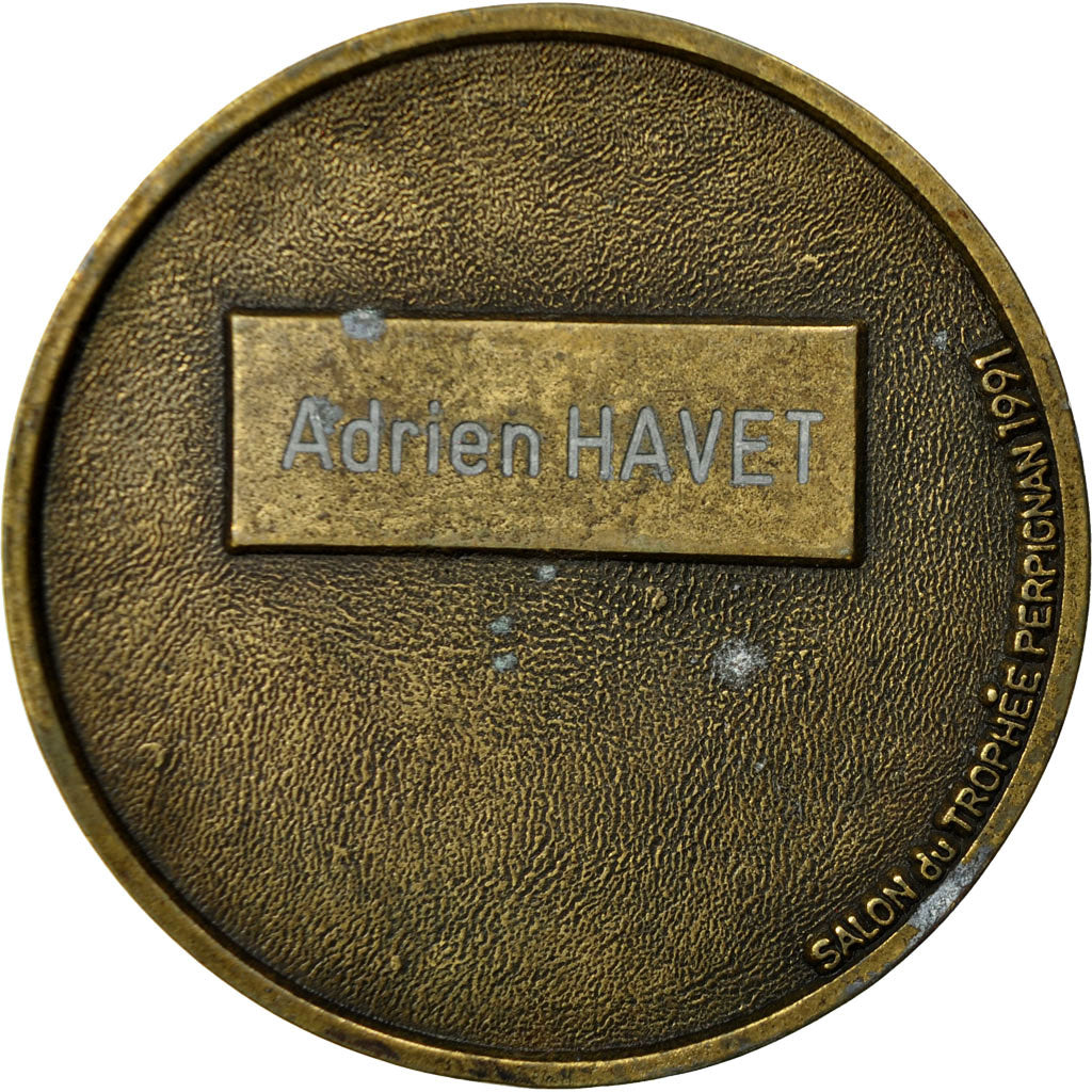 France, Medal, Saint Feliu d'Amont, Roussillon, 1991, EF(40-45), Base Metal