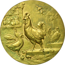 France, Medal, Ville d'Épernay, Société d'Horticulture et de viticulture