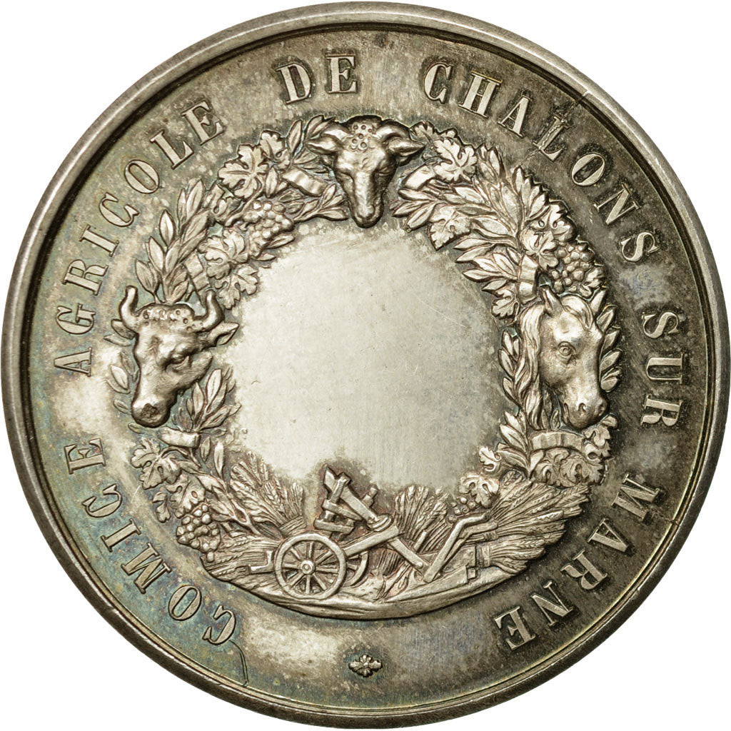 France, Medal, comice agricole de châlon-sur-Marne, olivier de Serres, De