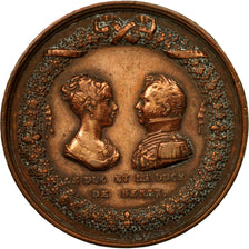 France, Médaille, Duc et Duchesse de Berry, Naissance du Duc de Bordeaux, 1820