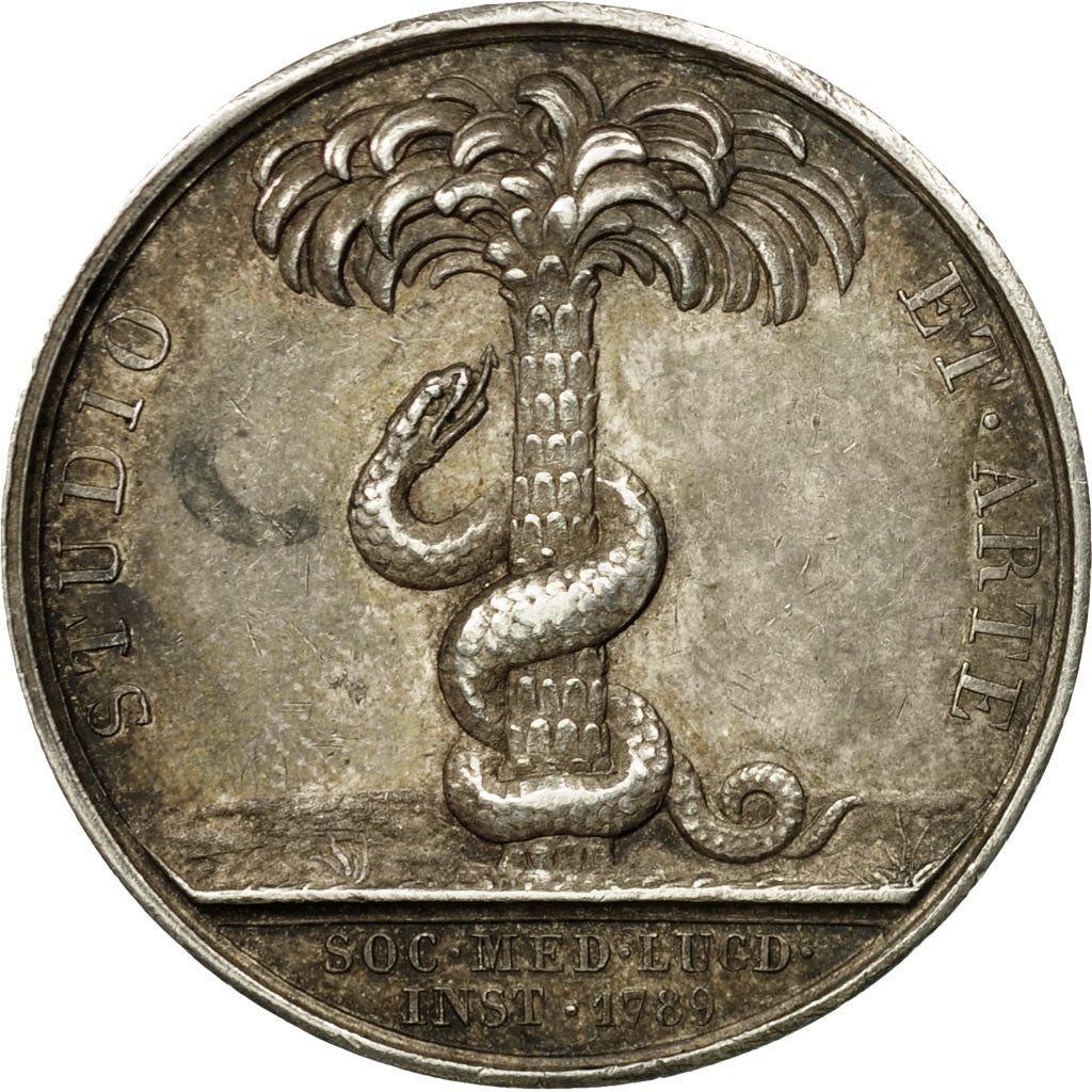 France, Medal, Médecine, Hippocrate, Lyon, Barre, AU(55-58), Silver