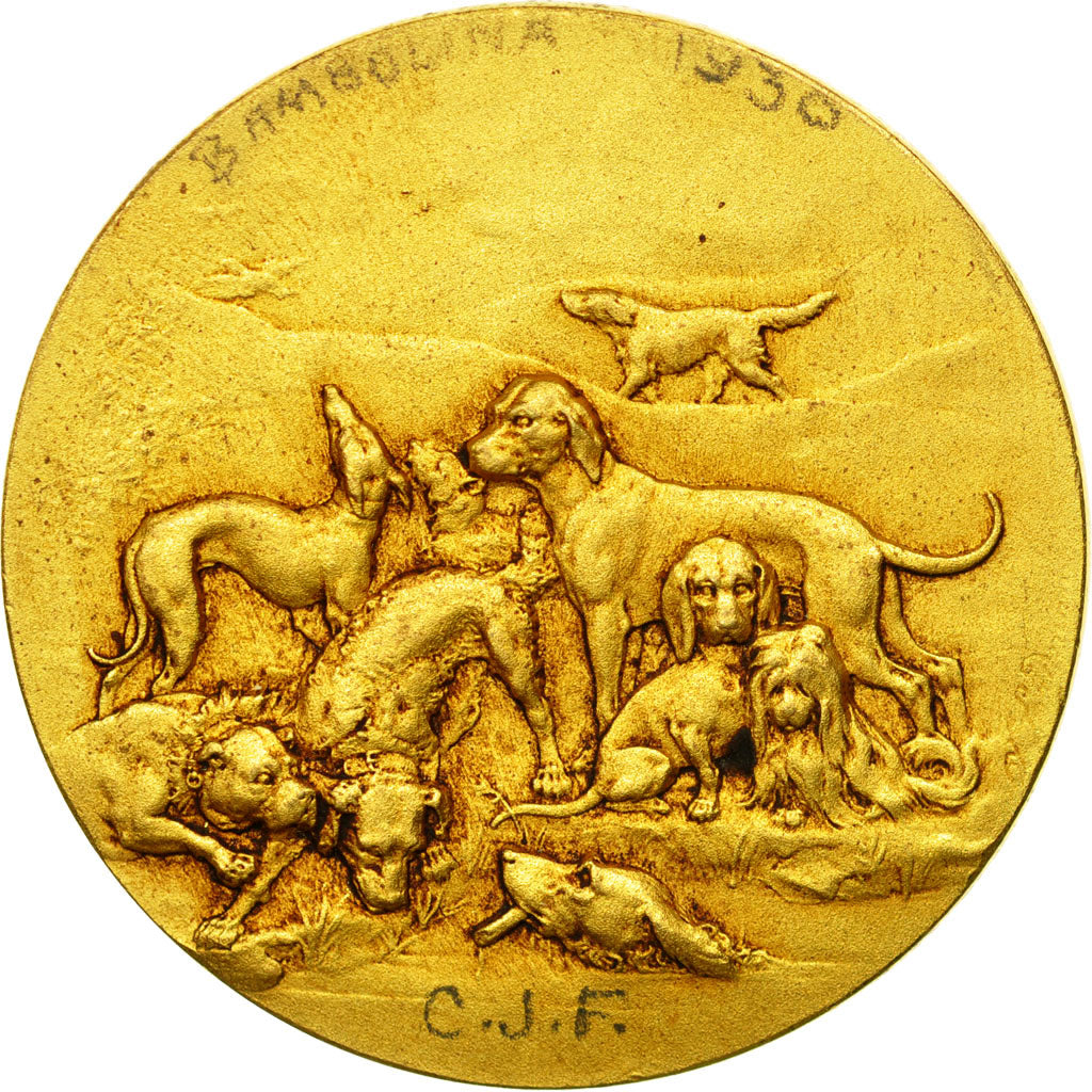 France, Medal, Exposition Canine d'Avignon, 1930, Rivet, AU(55-58), Gilt Bronze
