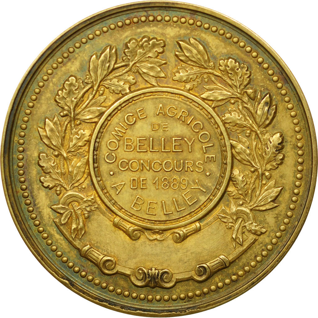 France, Medal, Comice Agricole de Belley, 1889, Arthus Bertrand, MS(60-62)