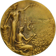 France, Medal, Société de Tir de Reims, Marey, AU(55-58), Bronze