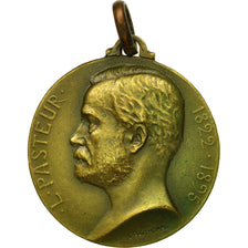 France, Médaille, 100ème Anniversaire de la Mort de Louis Pasteur, 1923