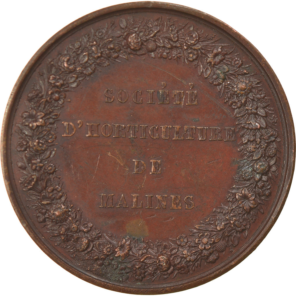 Belgium, Medal, Société d'Horticulture de Malines, Jouvenel, EF(40-45), Copper