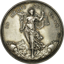 France, Token, Commerce de Soie, Lyon, 1866, Bonnet, AU(55-58), Silver