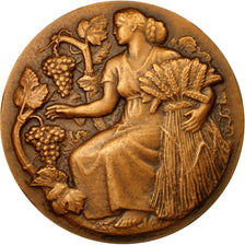 France, Medal, Ministère de l'Agriculture, Associations Agricoles, Petit