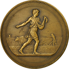 France, Medal, Agriculture, Comptoir Français de l'Azote, Lagrange, AU(55-58)