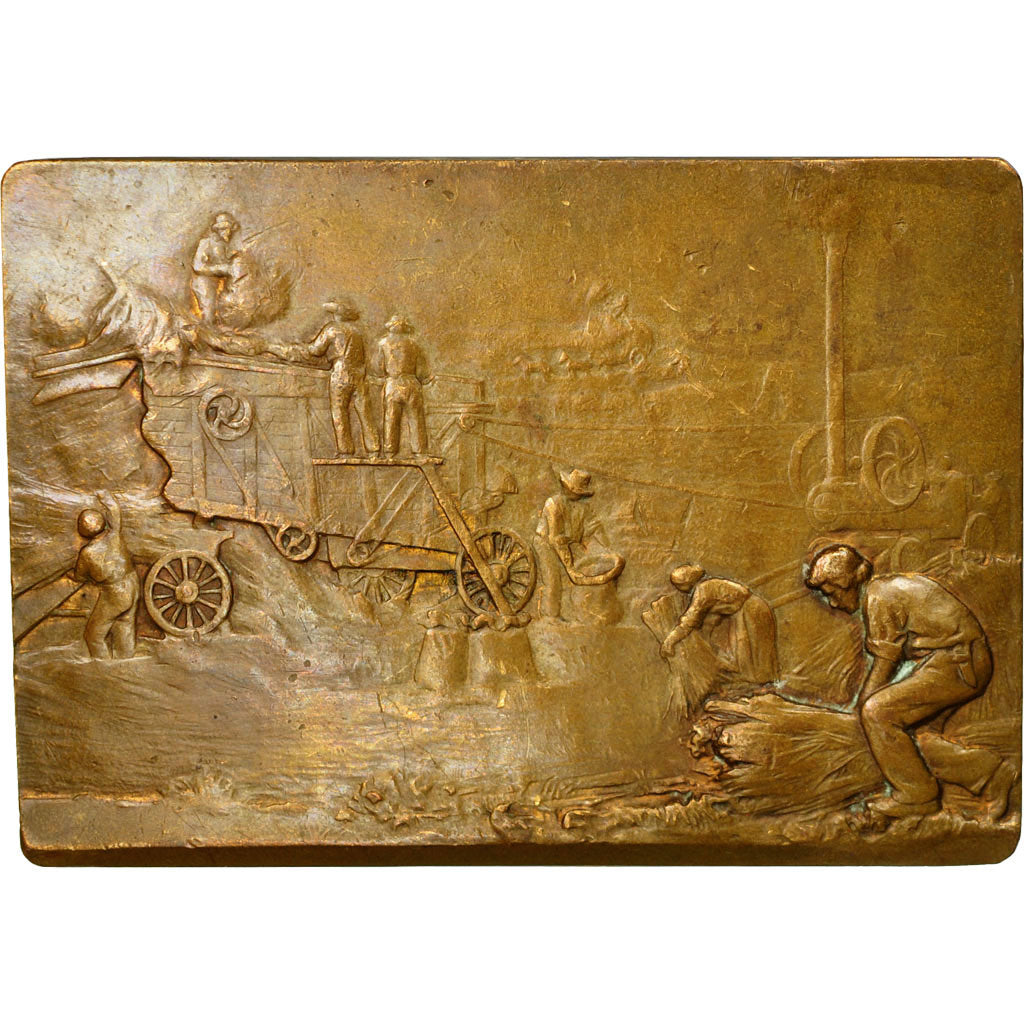 Frankrijk, Medaille, Agriculture, Conseil Général de l'Allier, ZF+, Bronze
