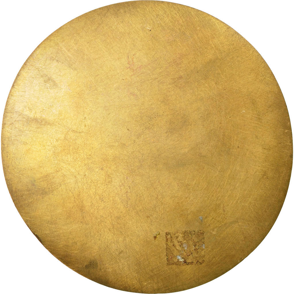 Francia, medalla, Médecine, Professeur Joseph Ducuing, 1963, Saint Saens, EBC