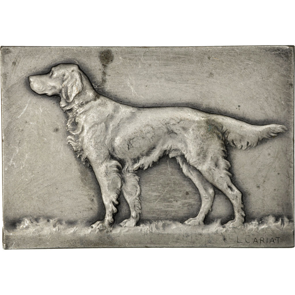 France, Medal, Chien, Setter, Cariat, AU(50-53), Silvered bronze