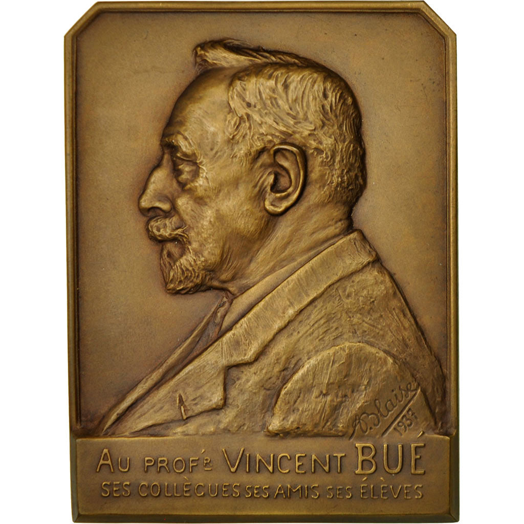 Francia, medalla, Médecine, Professeur Vincent Bué, 1937, Blaise, SC, Bronce