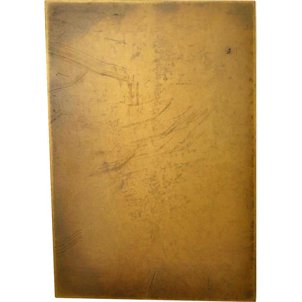 Frankreich, Medaille, Médecine, Professeur Gaston Potel, H. Soubricas, UNZ