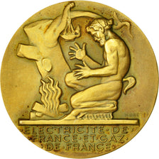 France, Medal, Électricité de France et gaz de France, Dropsy, MS(63), Gilt