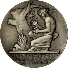 France, Medal, Électricité de France et gaz de France, Dropsy, MS(63)