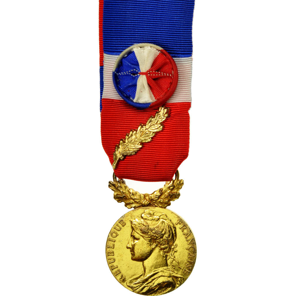 France, Médaille d'honneur du travail, Medal, 1990, Excellent Quality, Borrel