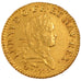 FRANCE, Louis d'or Mirliton, grandes palmes, Louis d'Or, 1725, Bordeaux,...