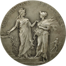 France, Medal, Agriculture, Concours de Prime d'Honneur, Isère, 1923, Dubois.A