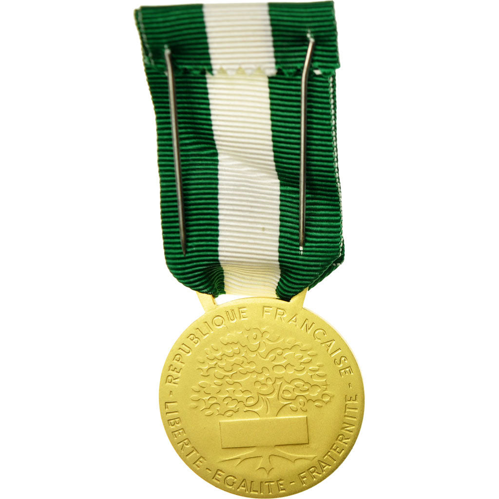 France, Médaille d'honneur communale, régionale et départementale, Medal
