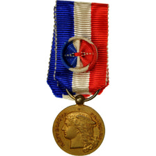 France, Mnistère de l'Intérieur, Epidémies, Médaille, Excellent Quality