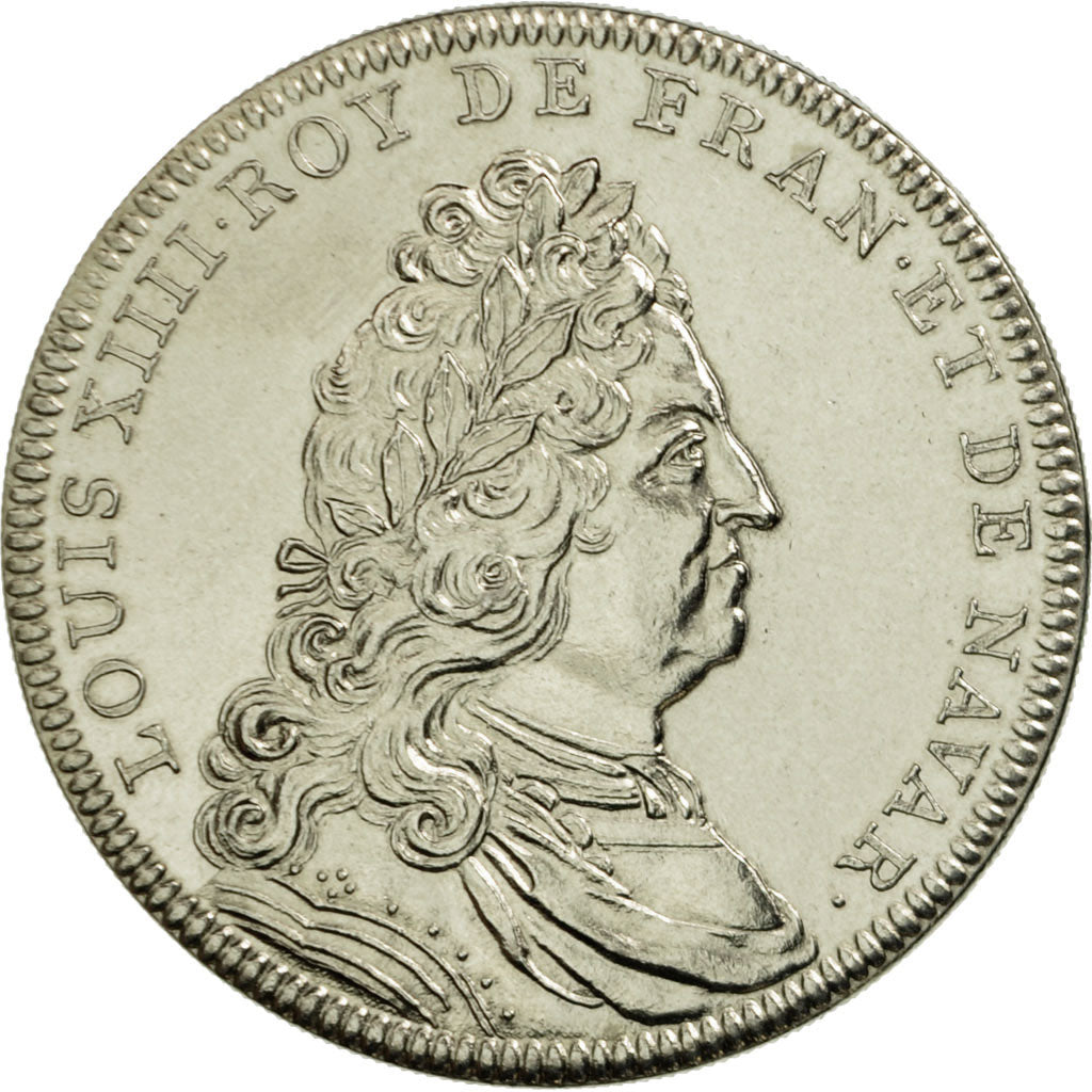 France, Medal, Les rois de France, Louis XIV, MS(65-70), Cupro-nickel