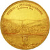 Francia, medaglia, Souvenir des Fêtes de Tarare, 1901, Micot, SPL-, Bronzo