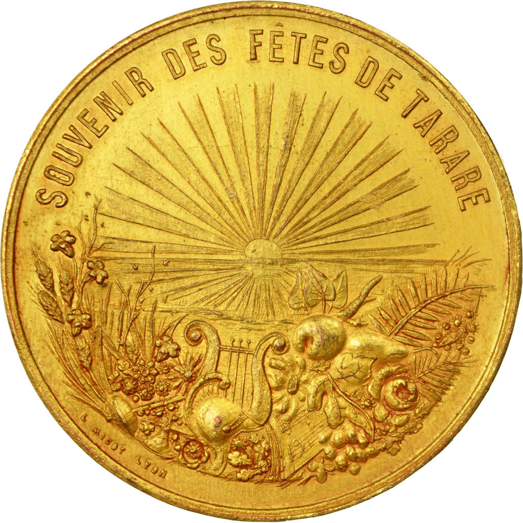 Francia, medaglia, Souvenir des Fêtes de Tarare, 1901, Micot, SPL-, Bronzo