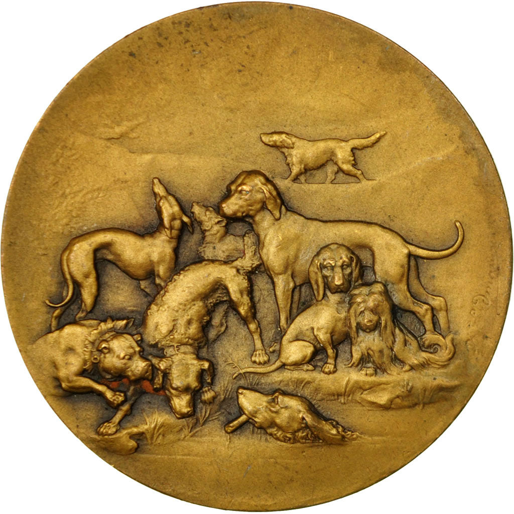 France, Medal, Société Canine de Picardie, Erdmann, AU(55-58), Bronze