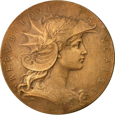 Francia, medaglia, Ministère de la Guerre, Concours de Tir, Dubois.H, SPL-