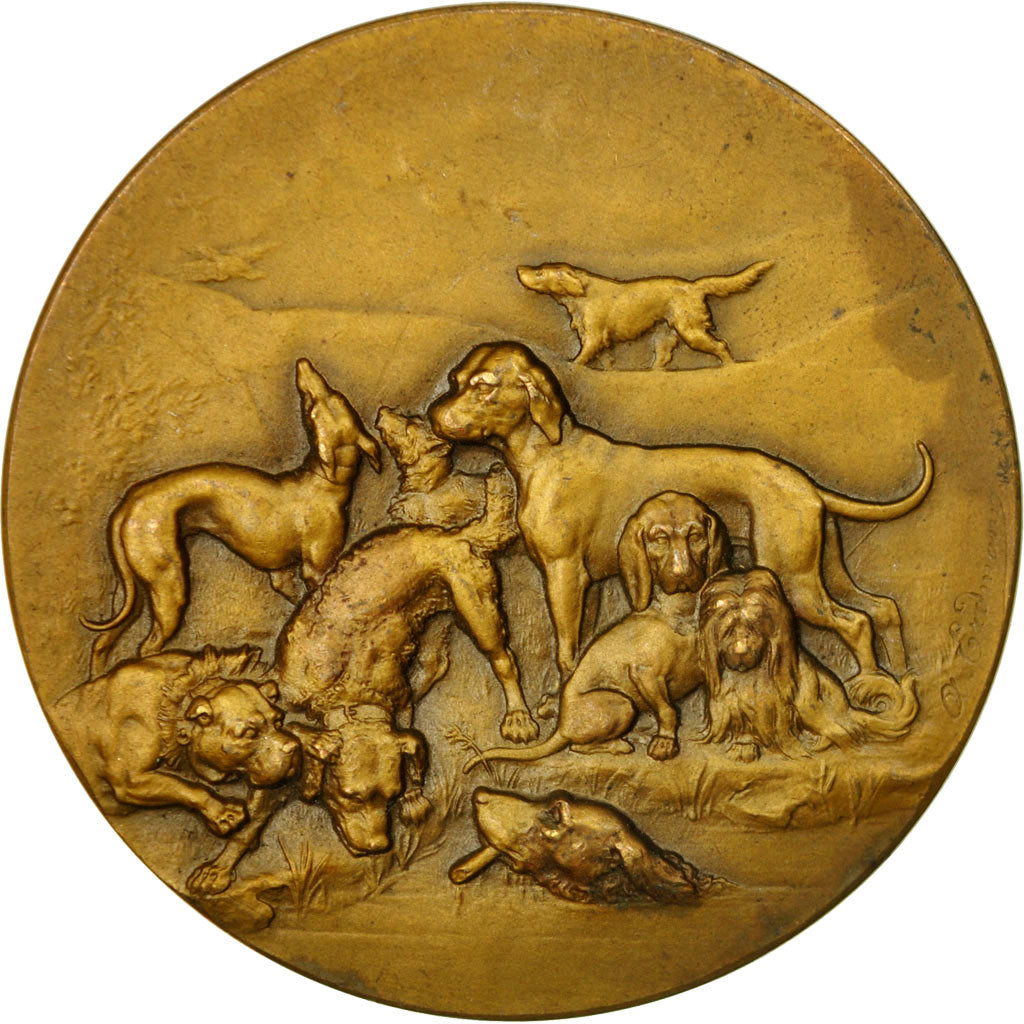 France, Medal, Société canine de Dieppe, Erdmann, AU(55-58), Bronze