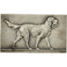 France, Médaille, Société Canine, Chiens d'Arrêt, Aumale, 1933, V. Peter