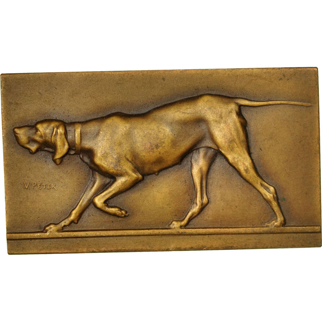 Francia, medaglia, Société Canine, Chiens d'Arrêt, Aumale, 1933, V. Peter