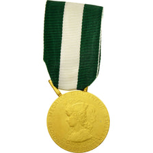 Francia, Médaille d'honneur communale, régionale et départementale, medaglia