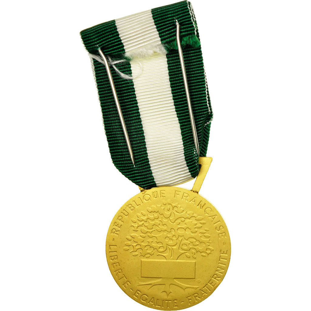 Francia, Médaille d'honneur communale, régionale et départementale, medaglia