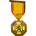 Belgium, Médaille des 3 Cités, Ypres, Medal, 1914-1918, Excellent Quality