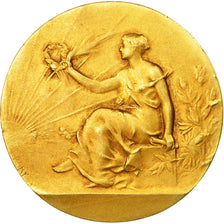 Francia, medaglia, Art Nouveau, Femme Assise, Coucher de Soleil, 1935, Bory