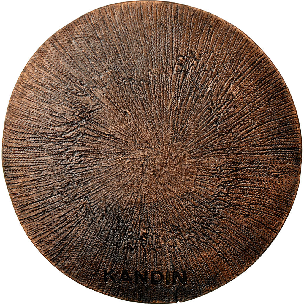 Frankreich, Medaille, Ville de Conflans Saint Honorine, SS, Bronze