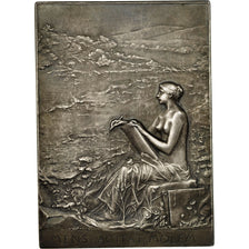 Francia, medaglia, Union Centrale des Arts Décoratifs, Paris, 1880, Roty, SPL