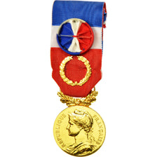 France, Médaille d'honneur du travail, Medal, 2006, Excellent Quality, Borrel