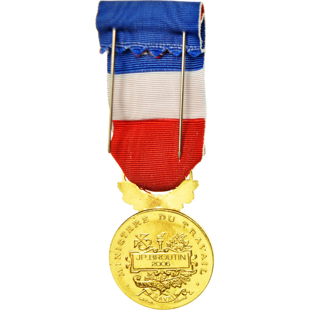 France, Médaille d'honneur du travail, Medal, 2006, Excellent Quality, Borrel