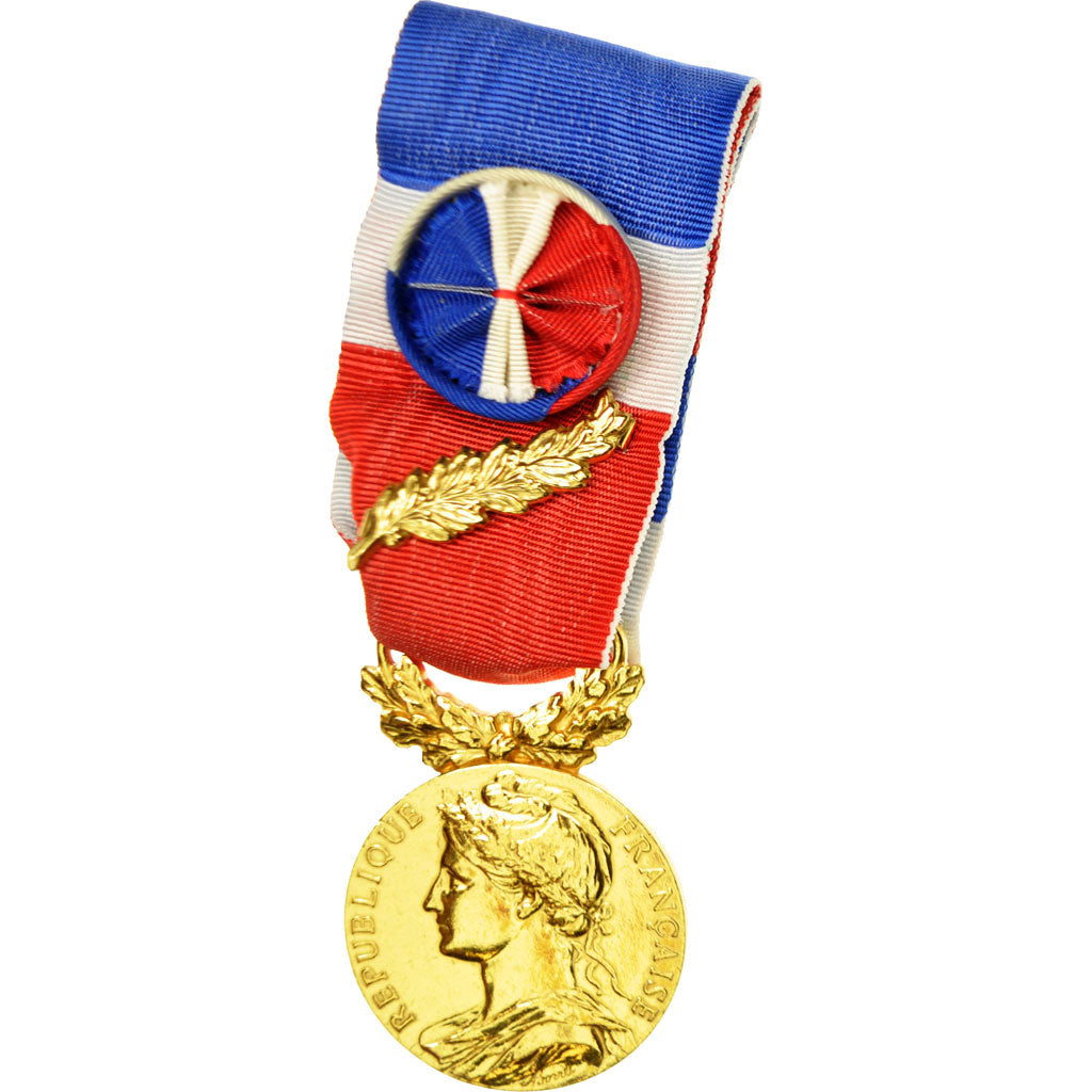 France, Médaille d'honneur du travail, Medal, 2004, Excellent Quality, Borrel