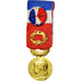 France, Médaille d'honneur du travail, Medal, 2009, Excellent Quality, Borrel